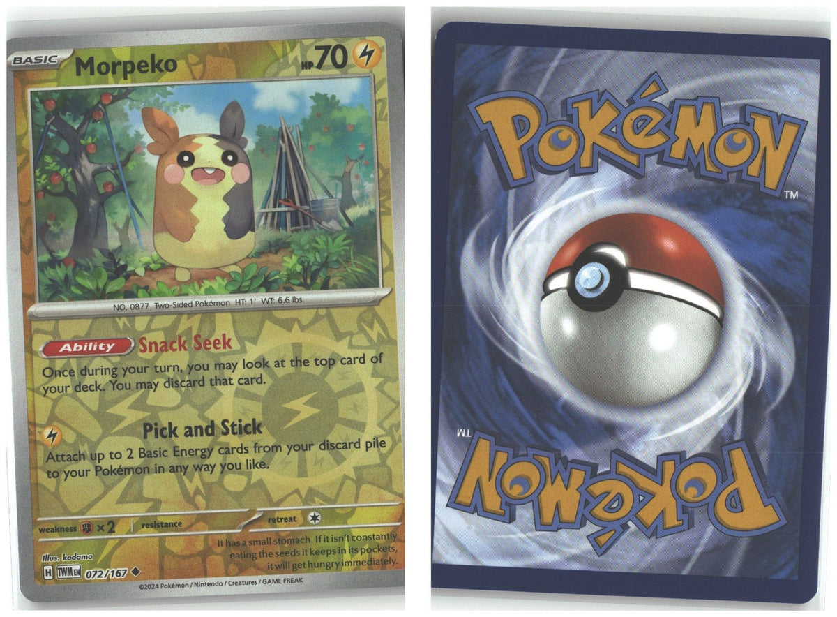 Front + Back scan