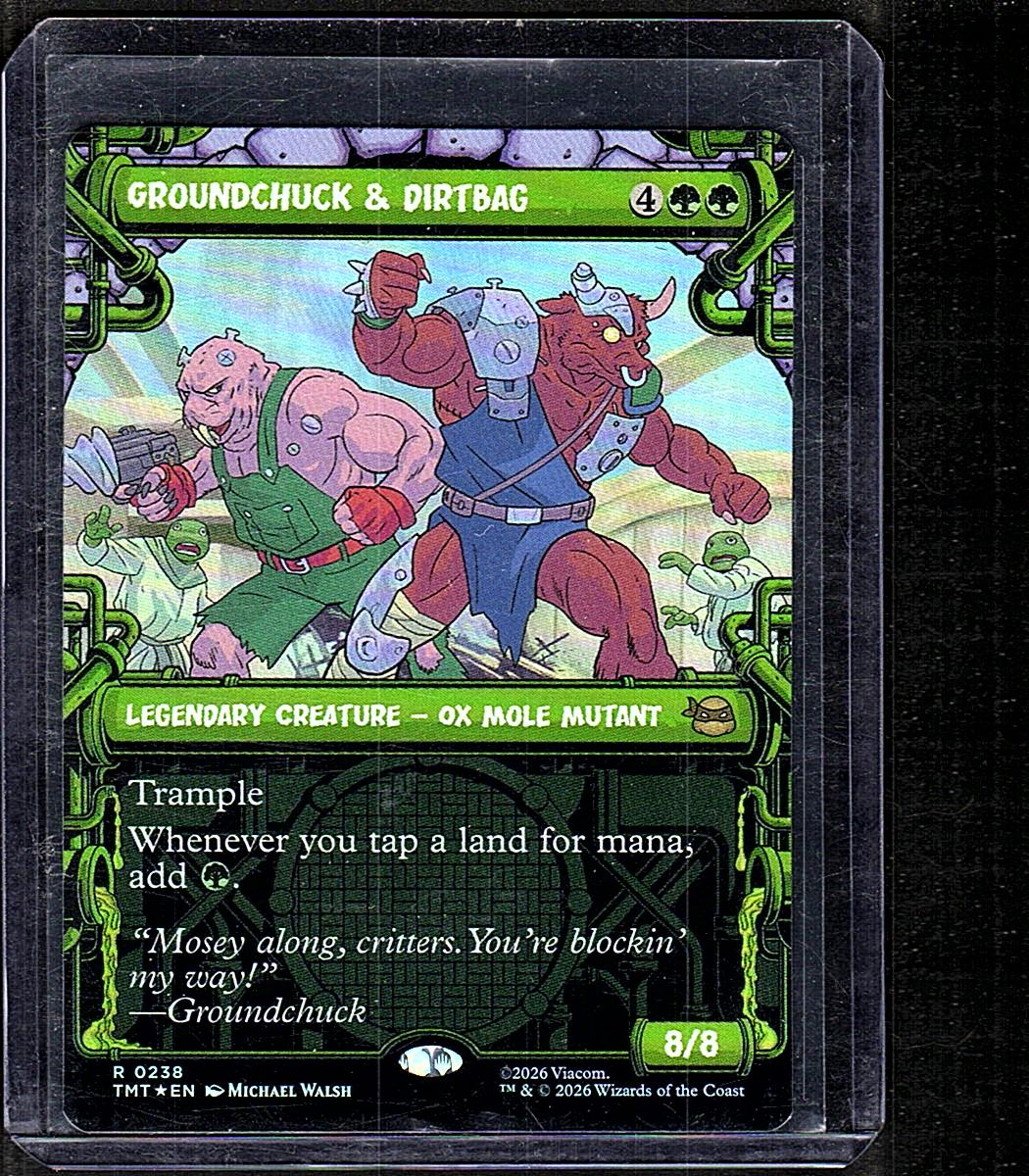 Teenage Mutant Ninja Turtles #238 Groundchuck & Dirtbag (Showcase)