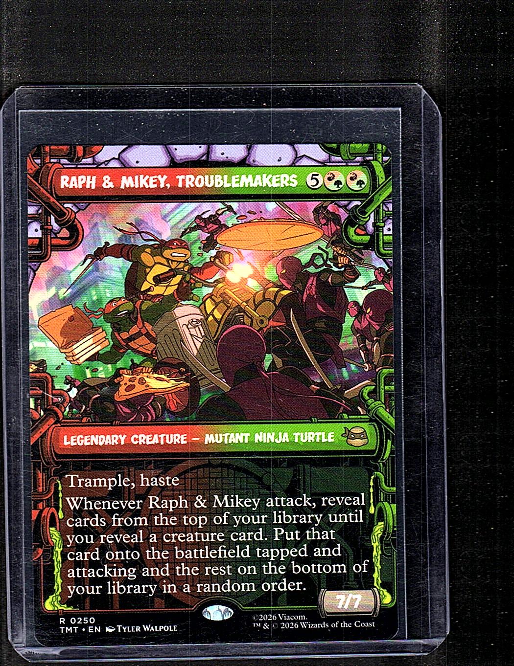 Teenage Mutant Ninja Turtles #250 Raph & Mikey, Troublemakers (Showcase)