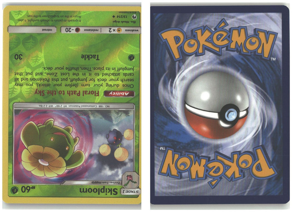 Front + Back scan