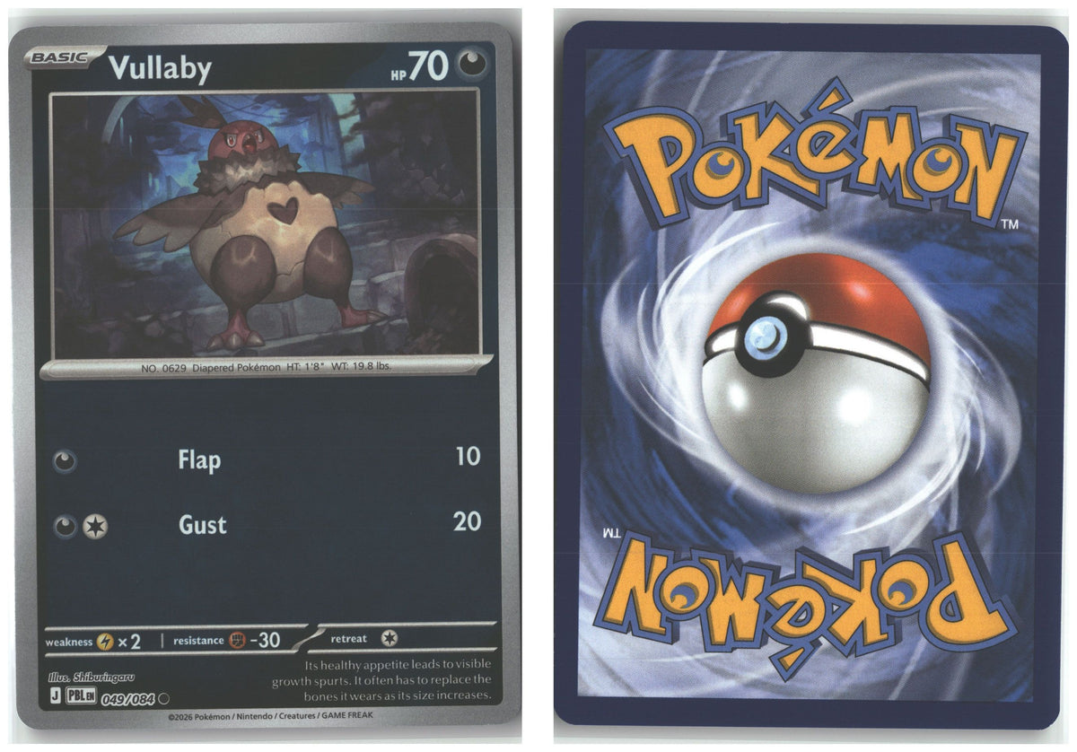 Front + Back scan