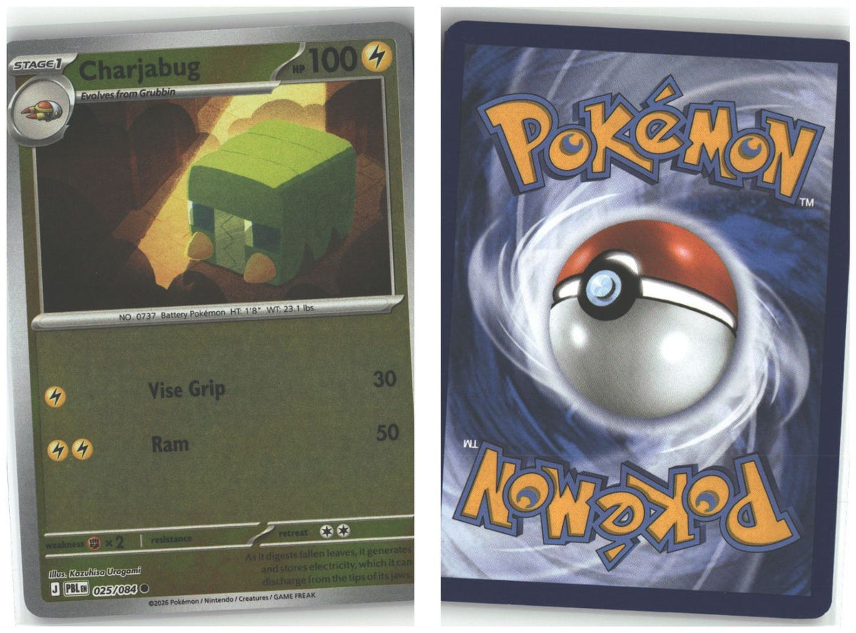 Front + Back scan