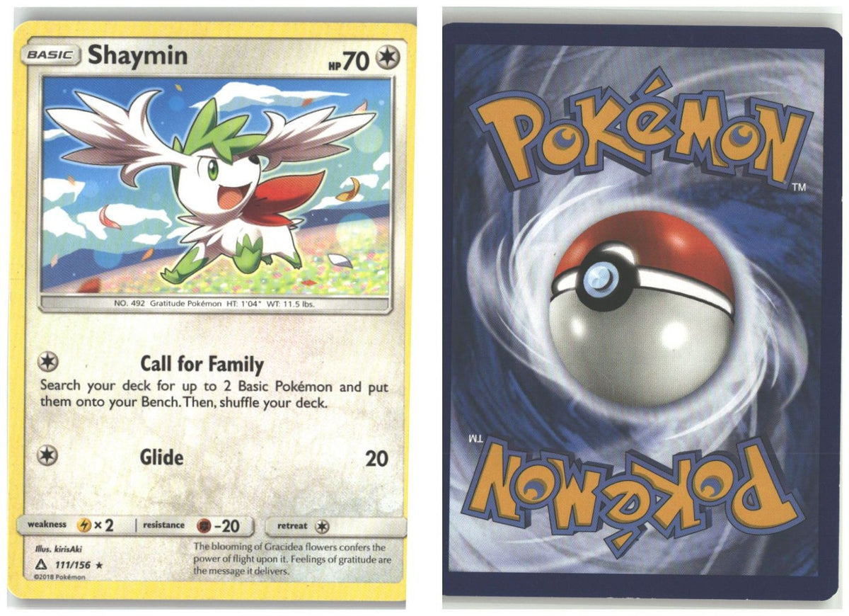 Front + Back scan