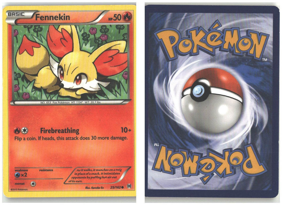 Front + Back scan