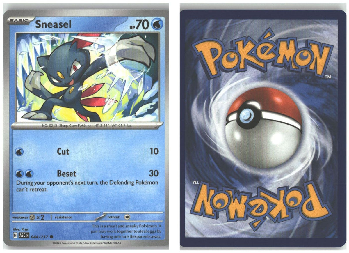 Front + Back scan