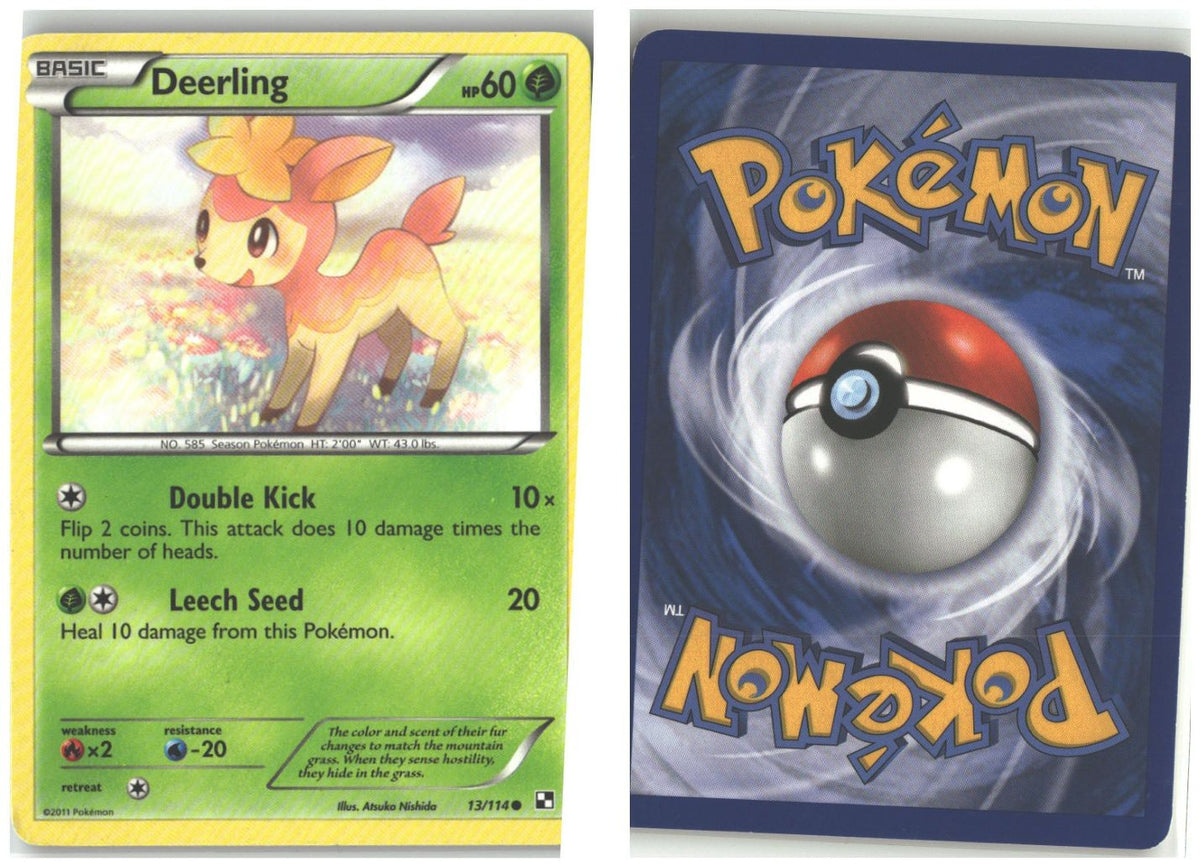 Front + Back scan