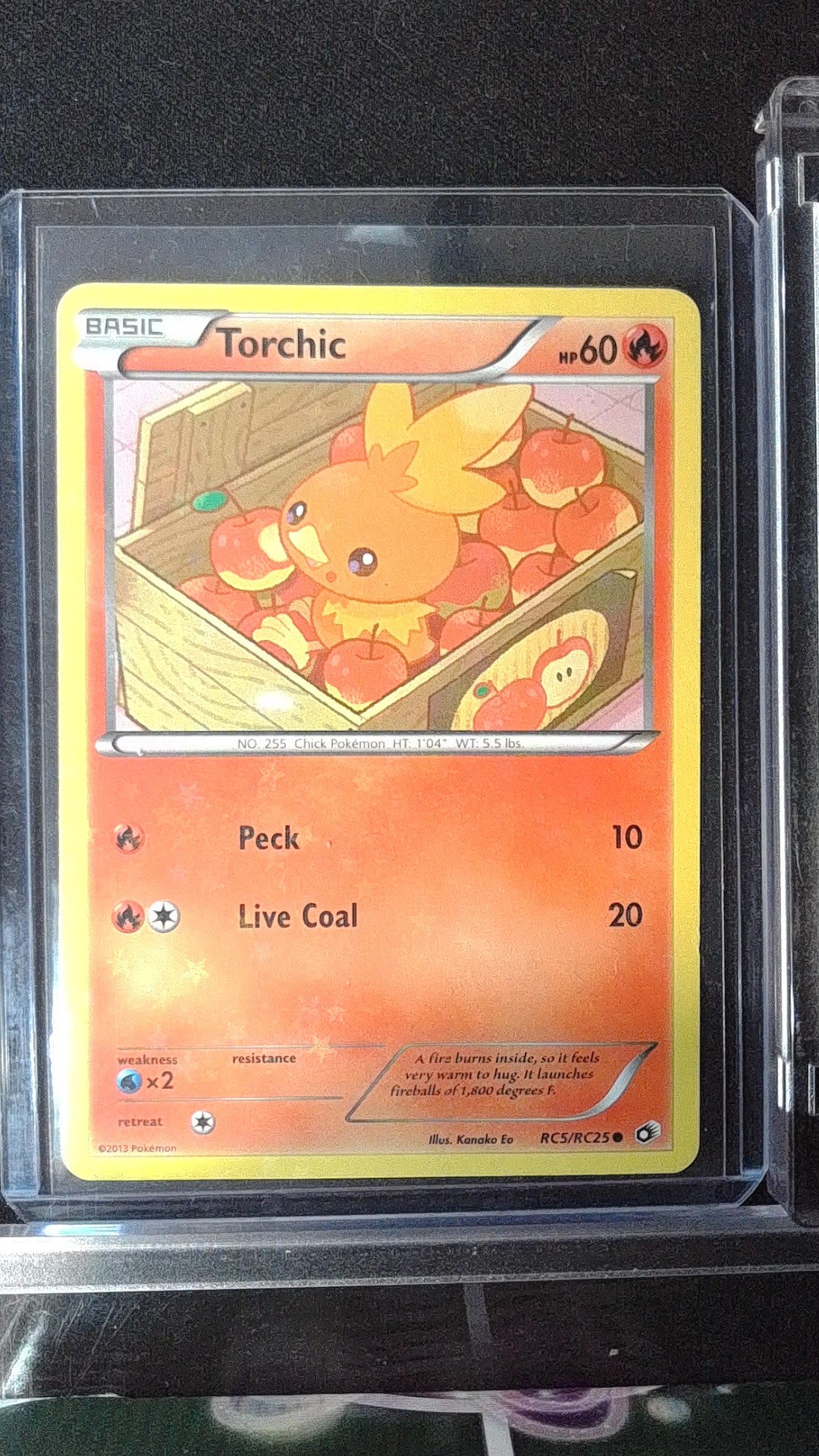 Torchic #RC5/RC25 Legendary Treasures: Radiant Collection Common,Holo