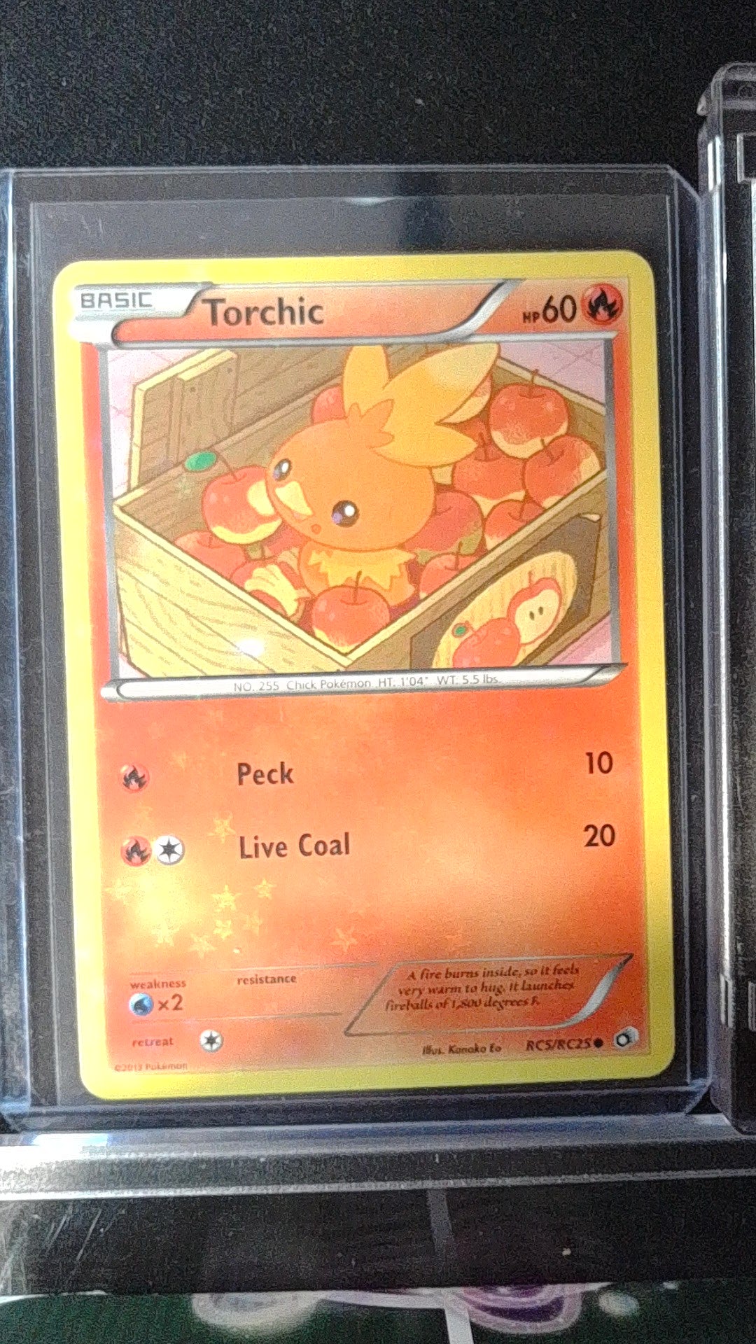 Torchic #RC5/RC25 Legendary Treasures: Radiant Collection Common,Holo