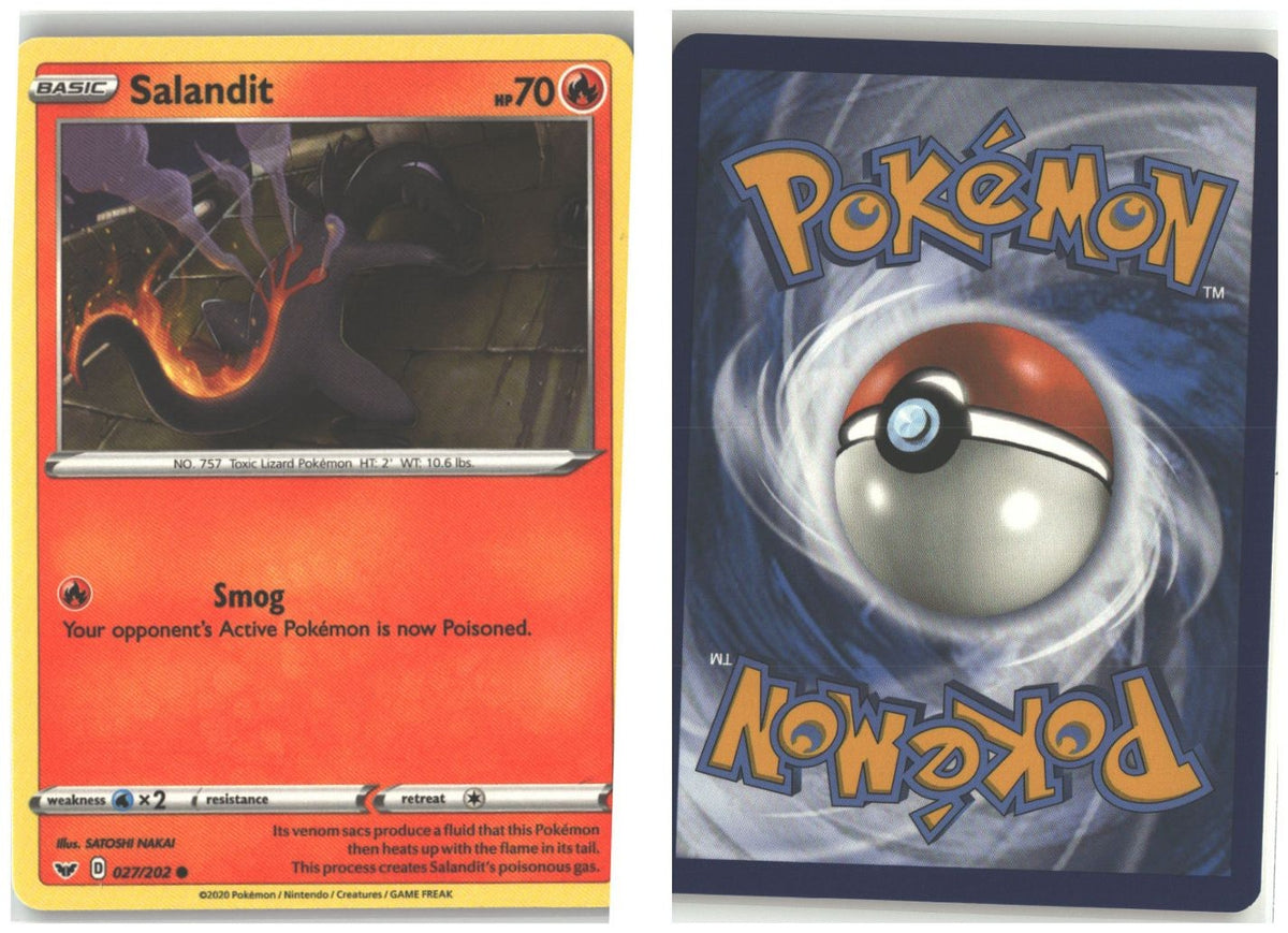 Front + Back scan
