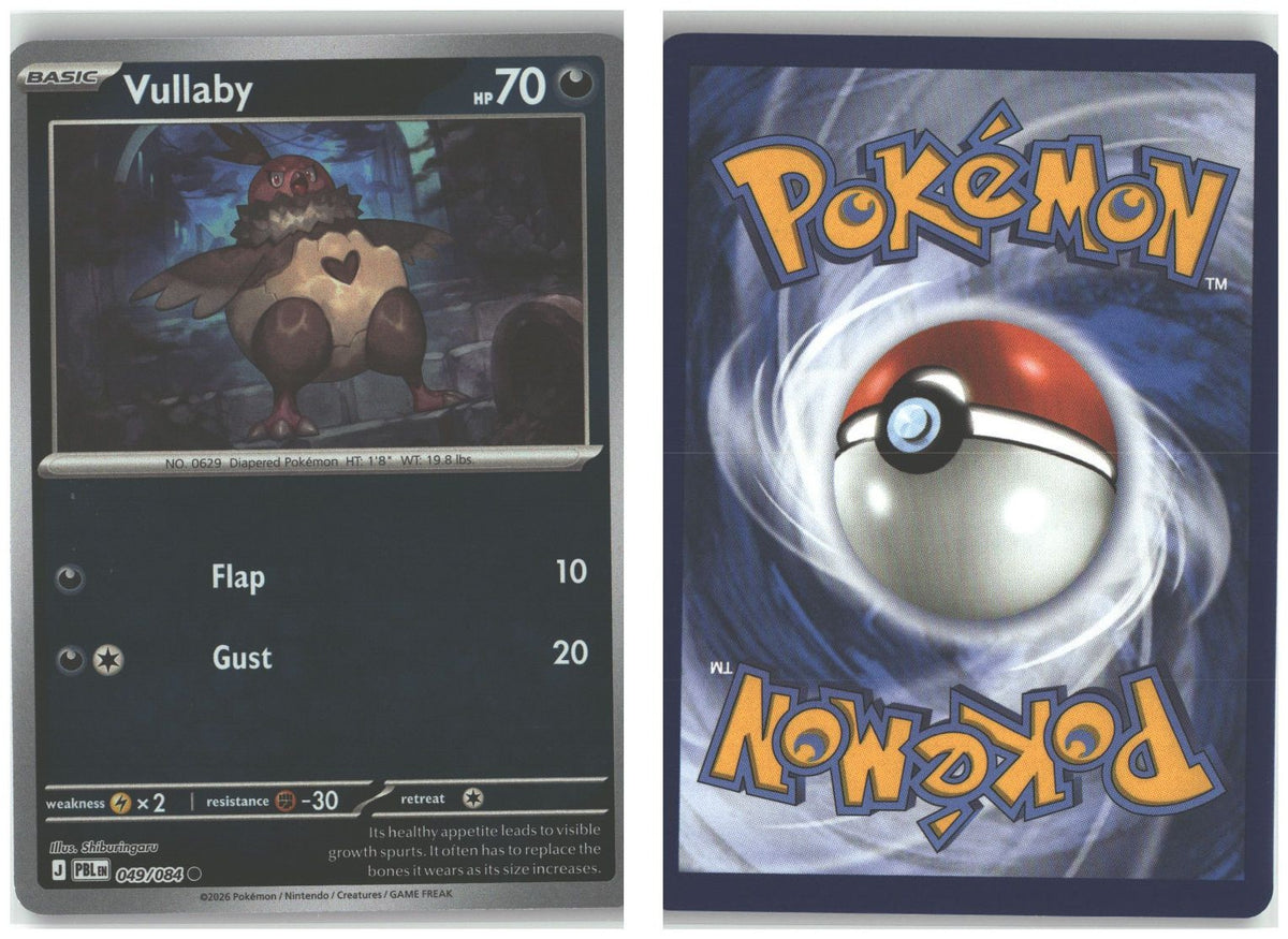Front + Back scan