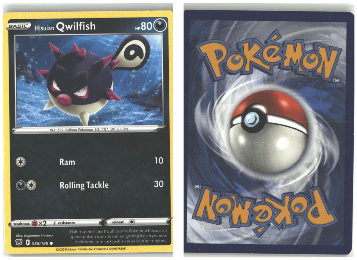 Front + Back scan