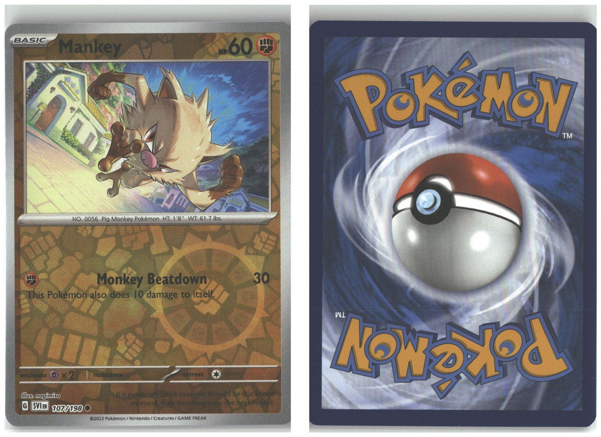 Front + Back scan