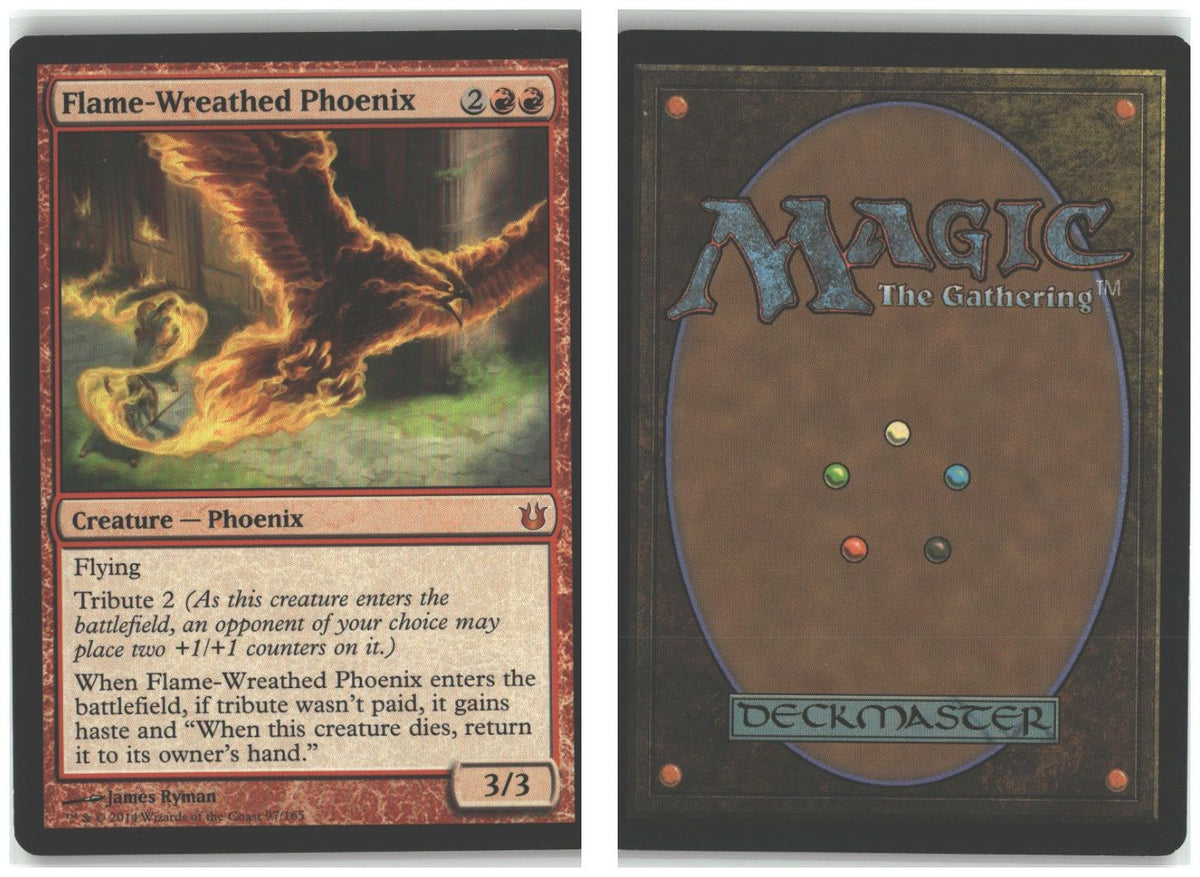 Front + Back scan