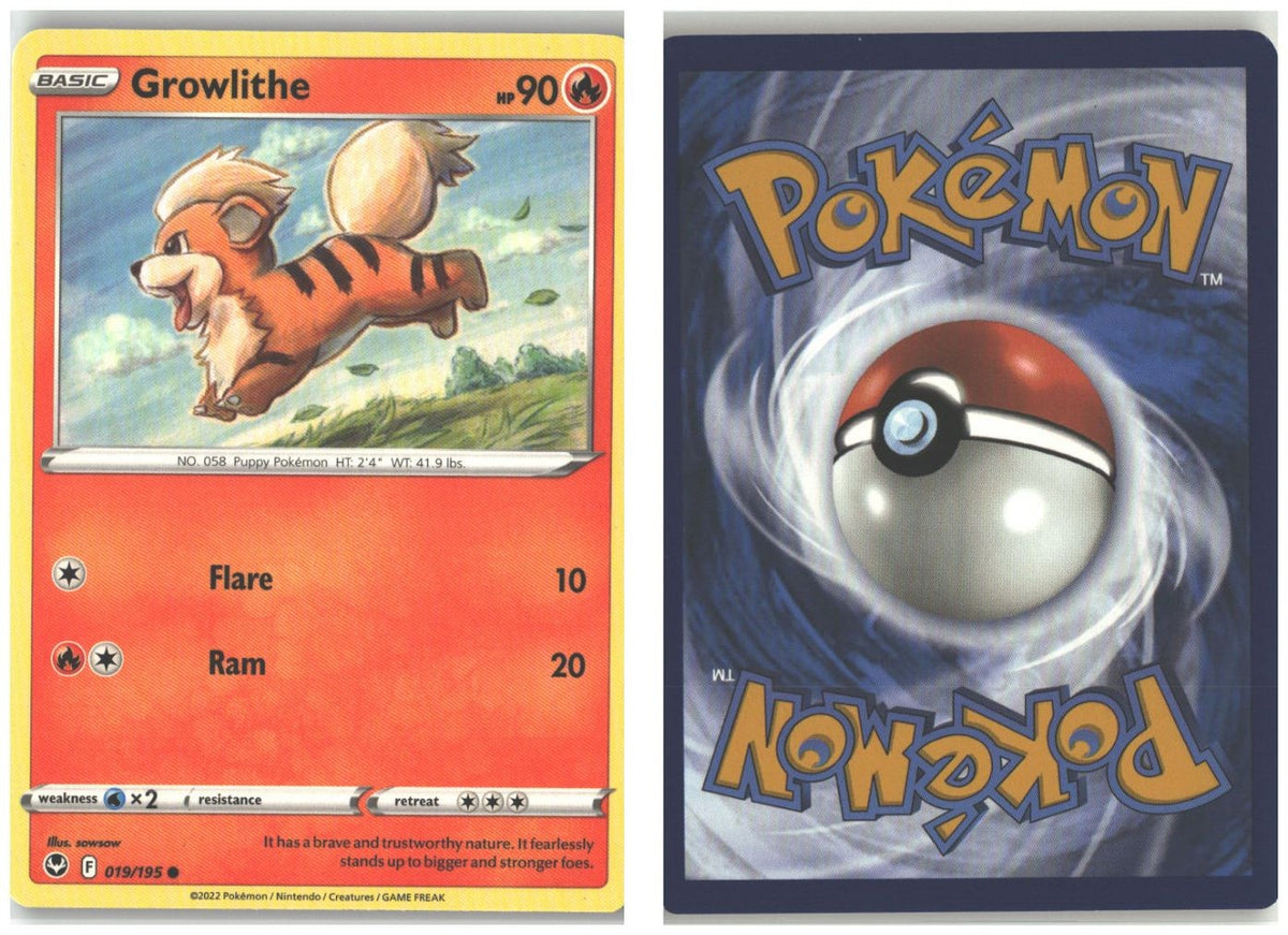 Front + Back scan