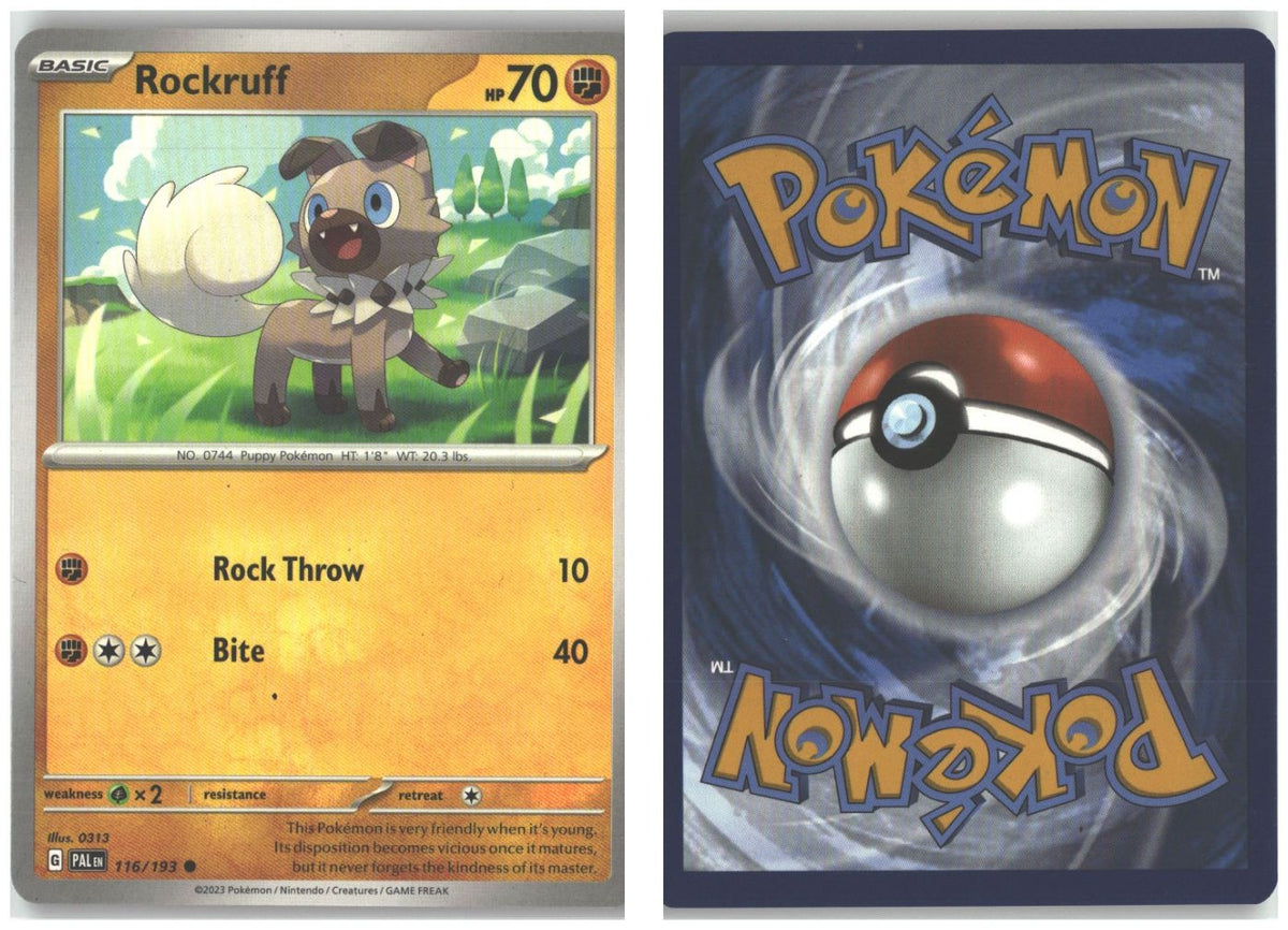 Front + Back scan