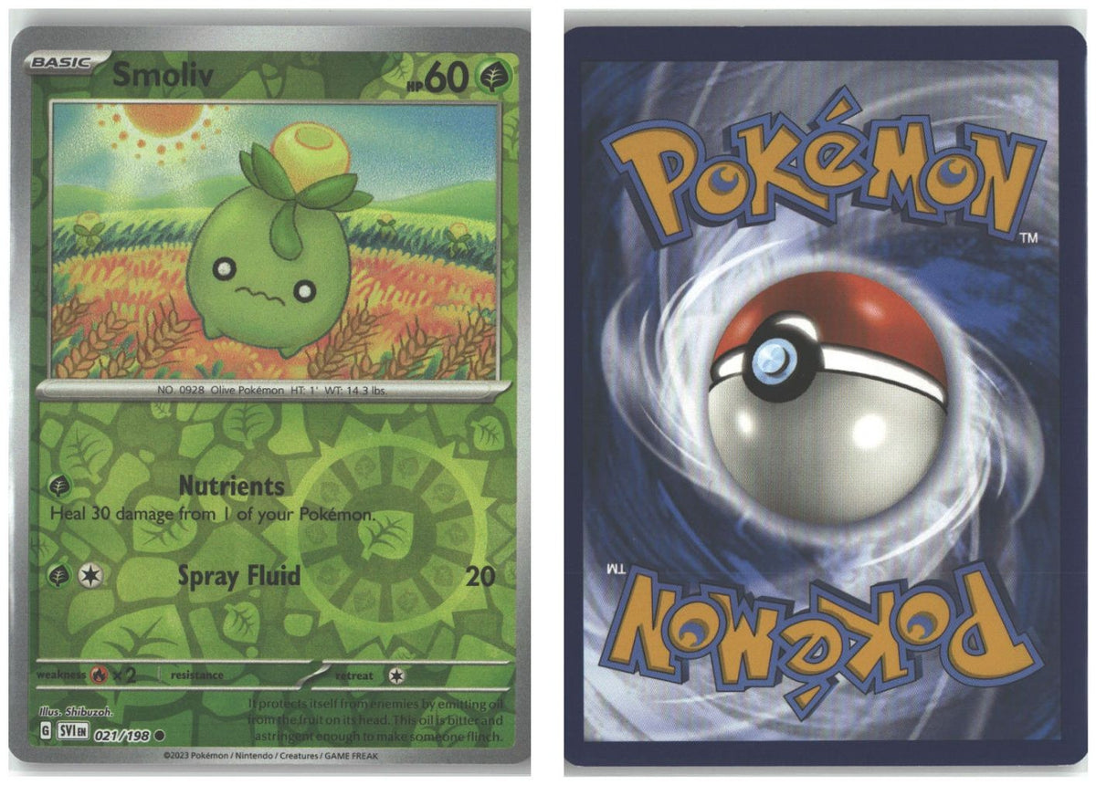 Front + Back scan