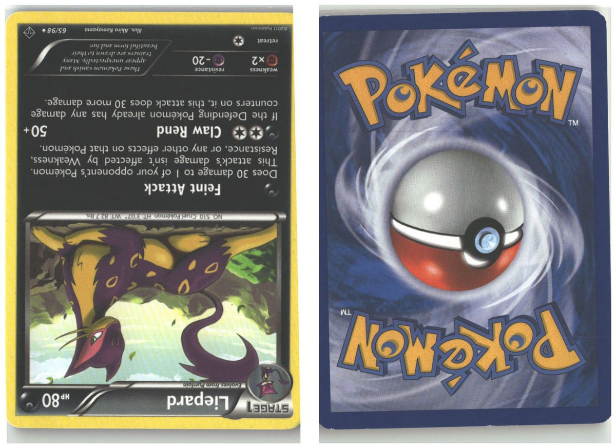Front + Back scan