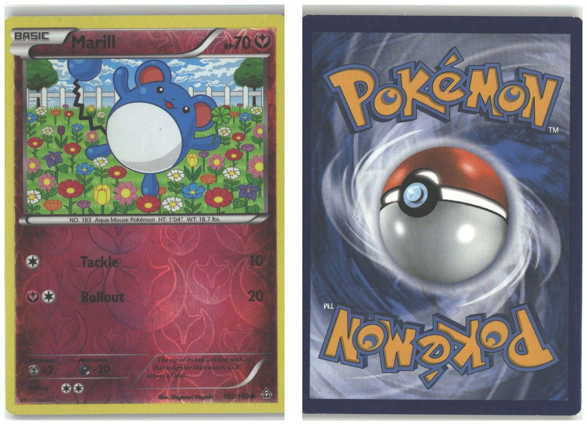 Front + Back scan