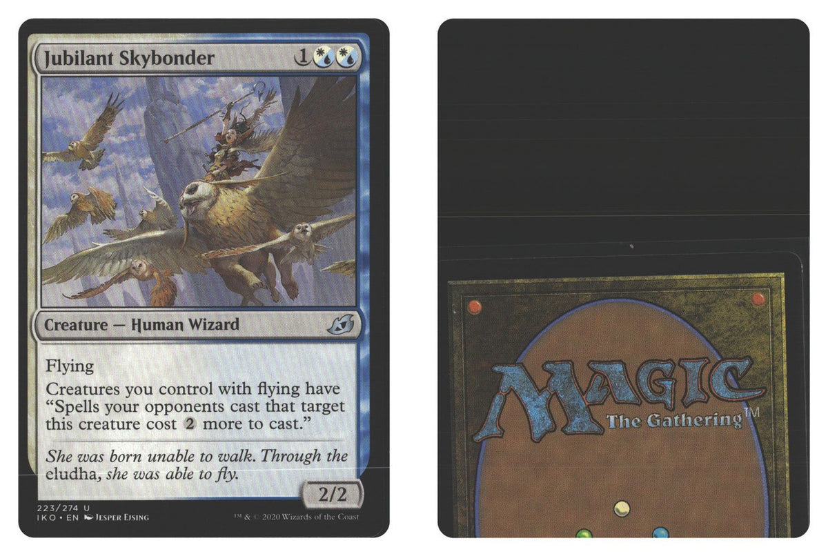 Front + Back scan