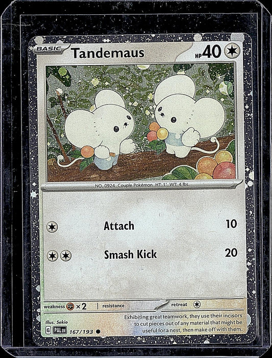 SV02: Paldea Evolved #167/193 Tandemaus