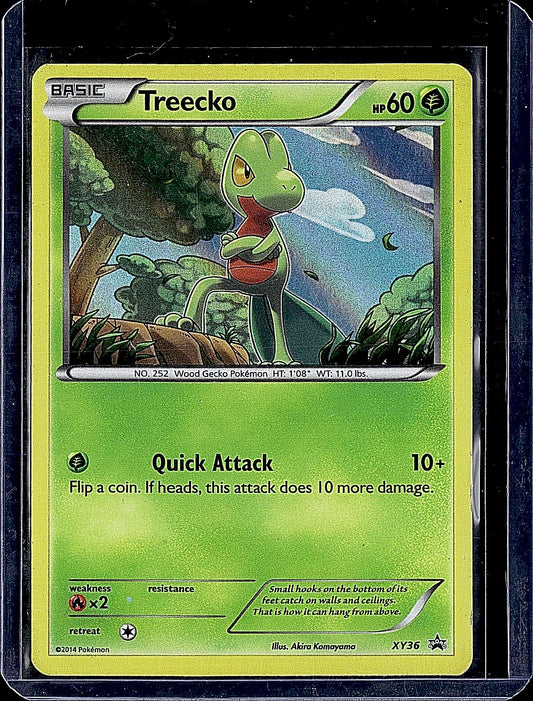 XY Promos #XY36 Treecko