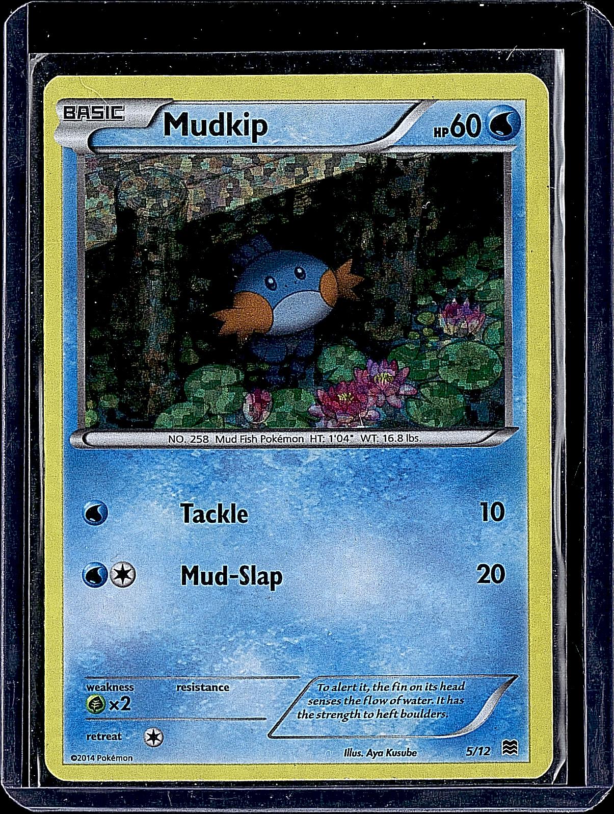 Miscellaneous Cards & Products #033/160 Mudkip