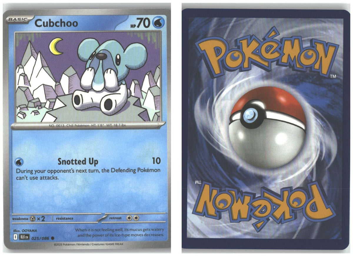 Front + Back scan