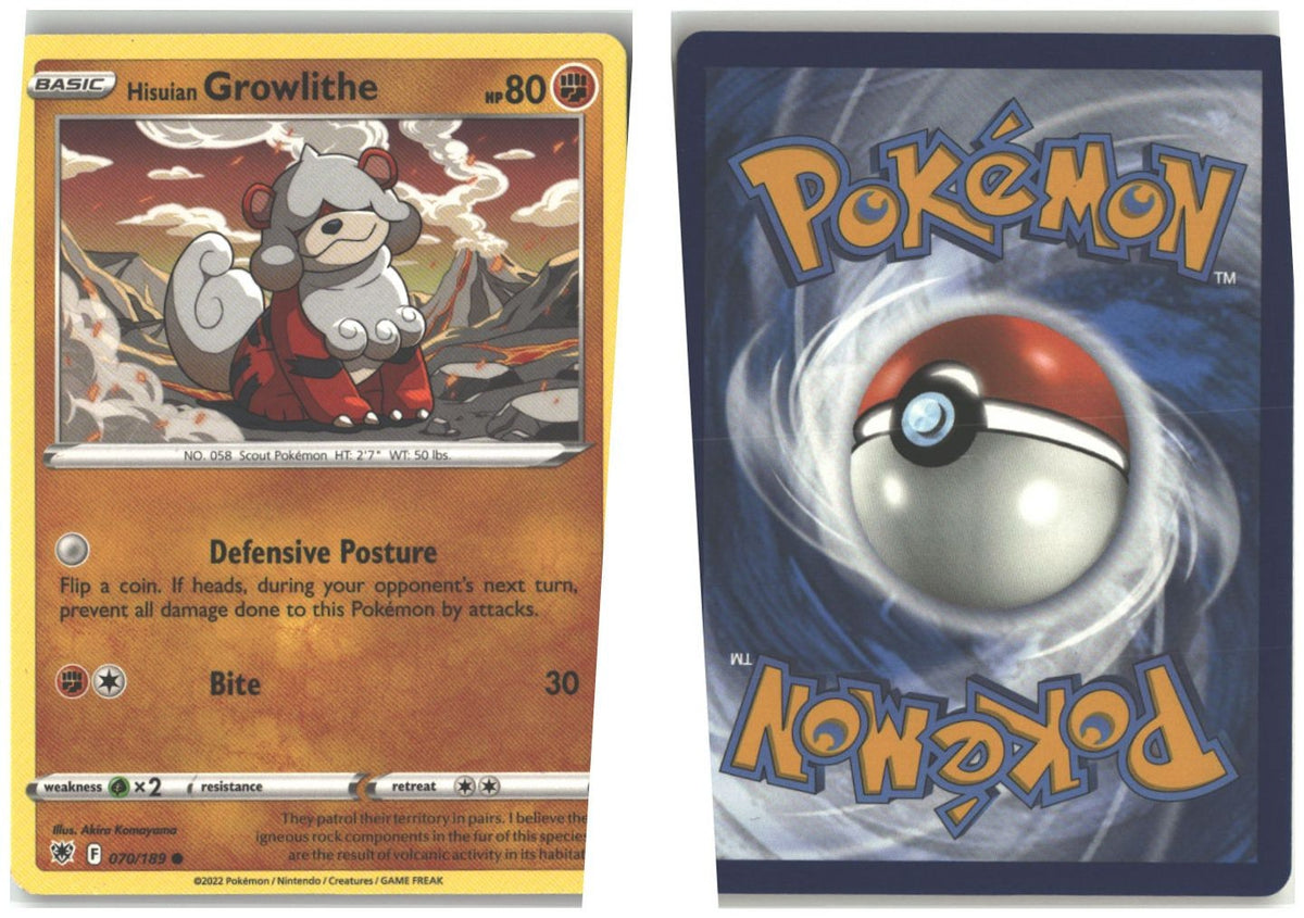 Front + Back scan