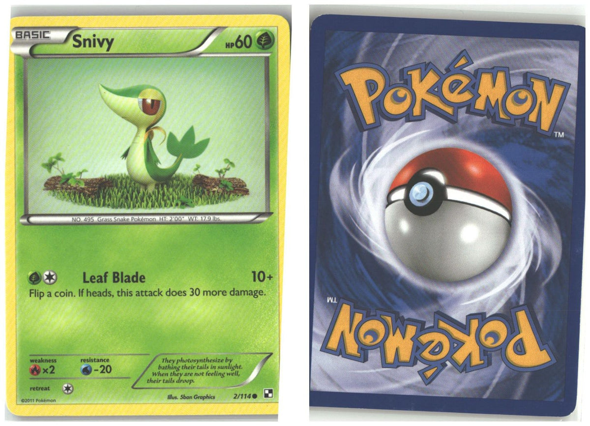 Front + Back scan