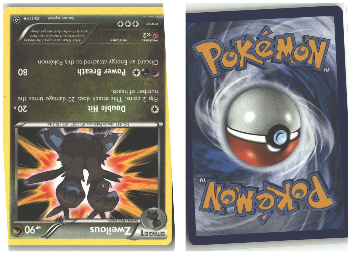 Front + Back scan