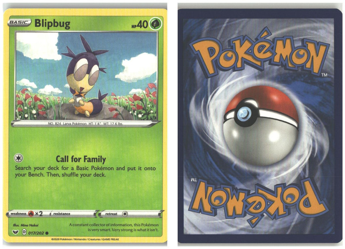 Front + Back scan