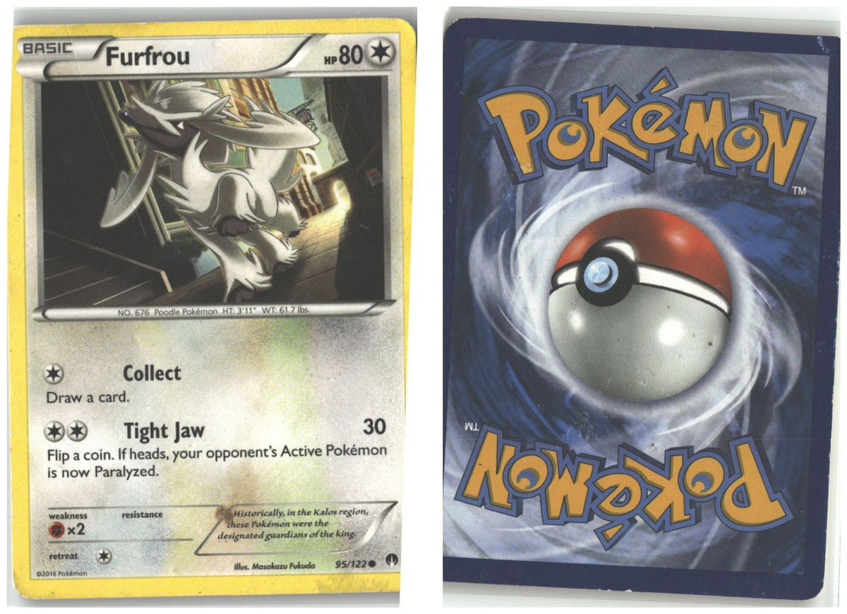Front + Back scan