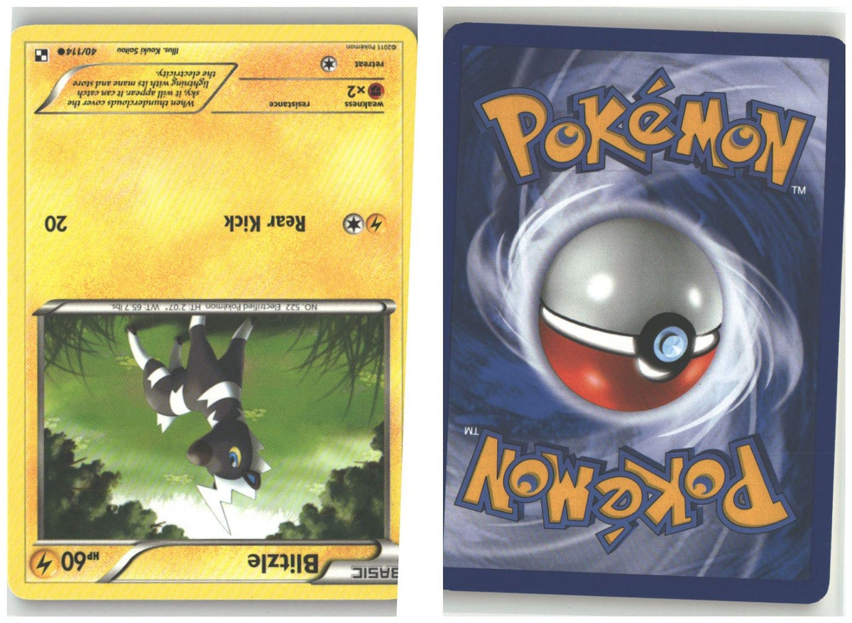 Front + Back scan