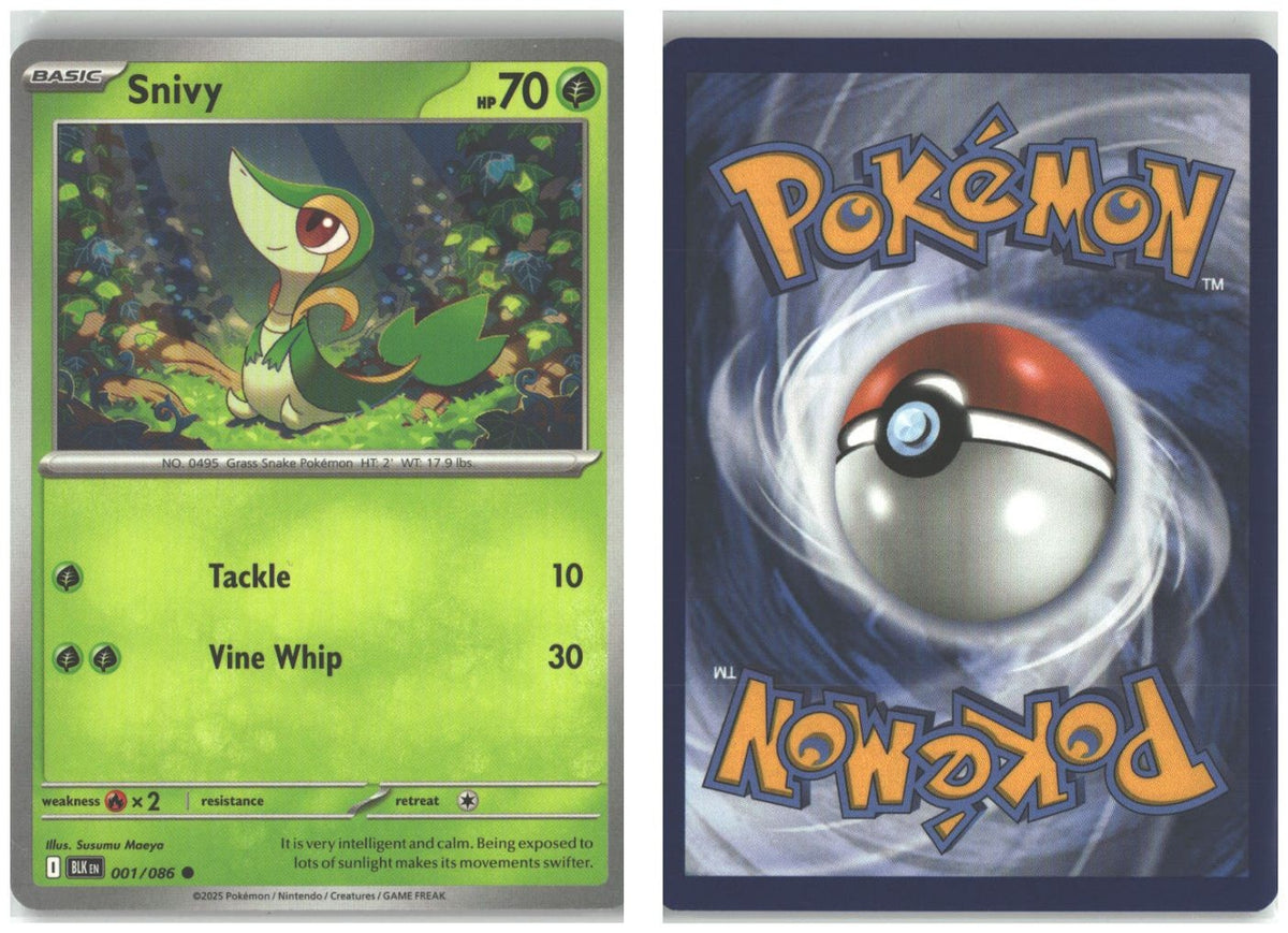 Front + Back scan