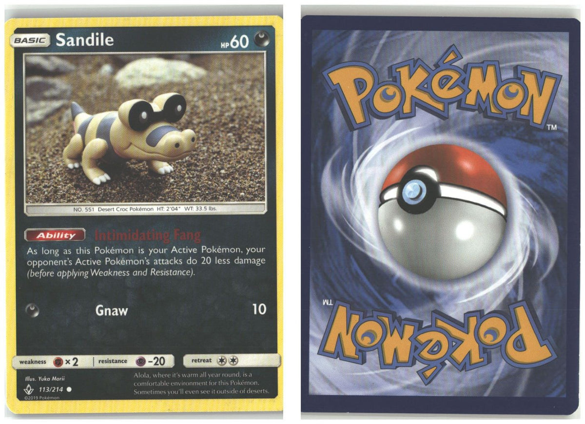 Front + Back scan