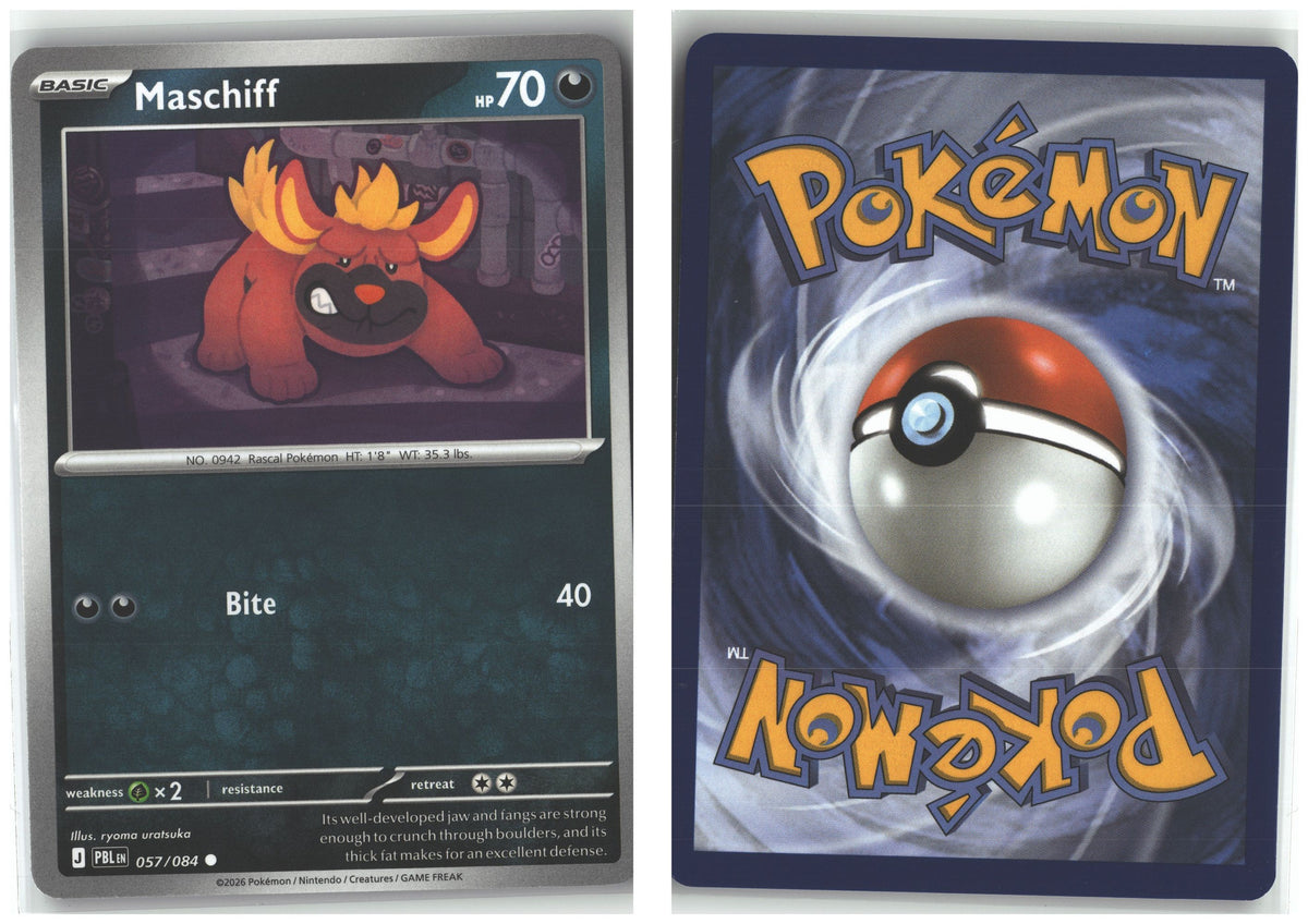 Front + Back scan