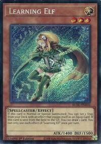 Learning Elf