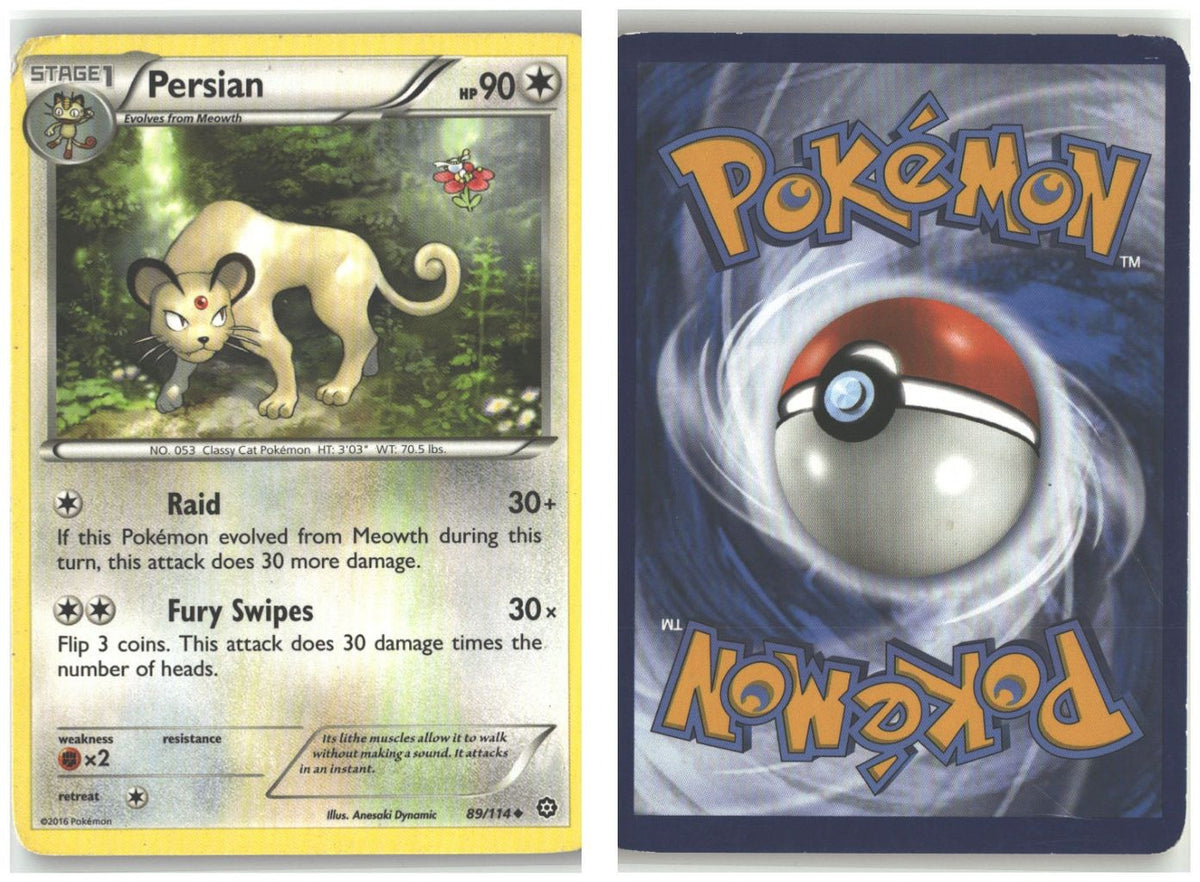 Front + Back scan