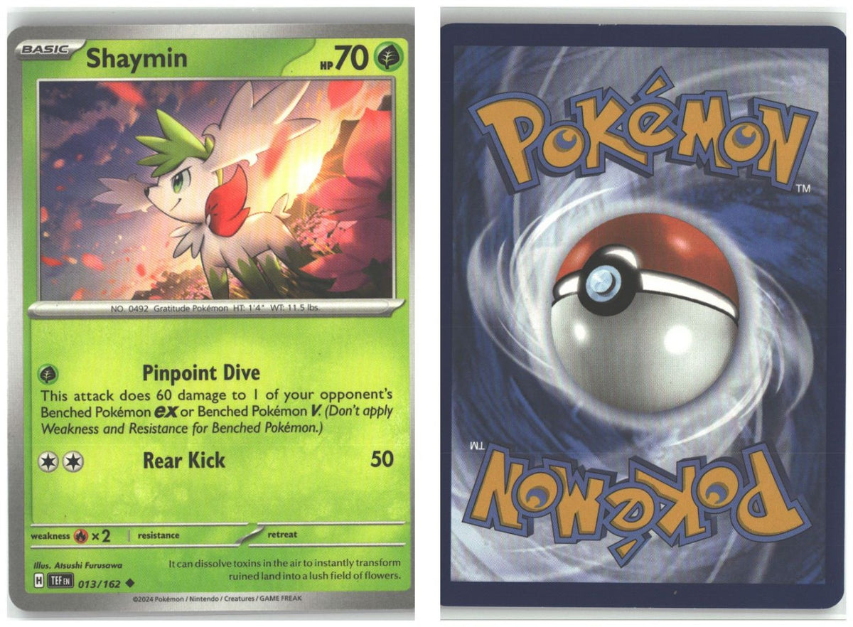 Front + Back scan
