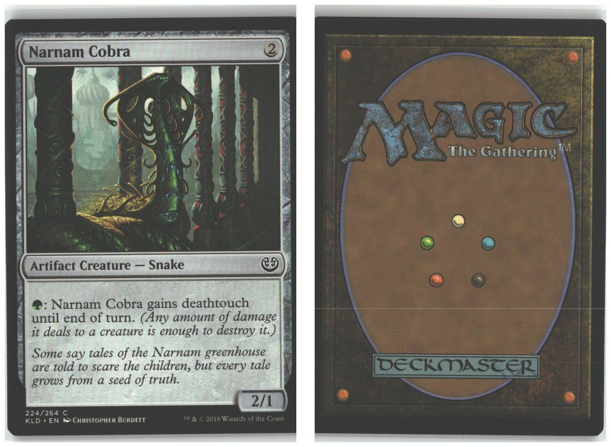 Front + Back scan