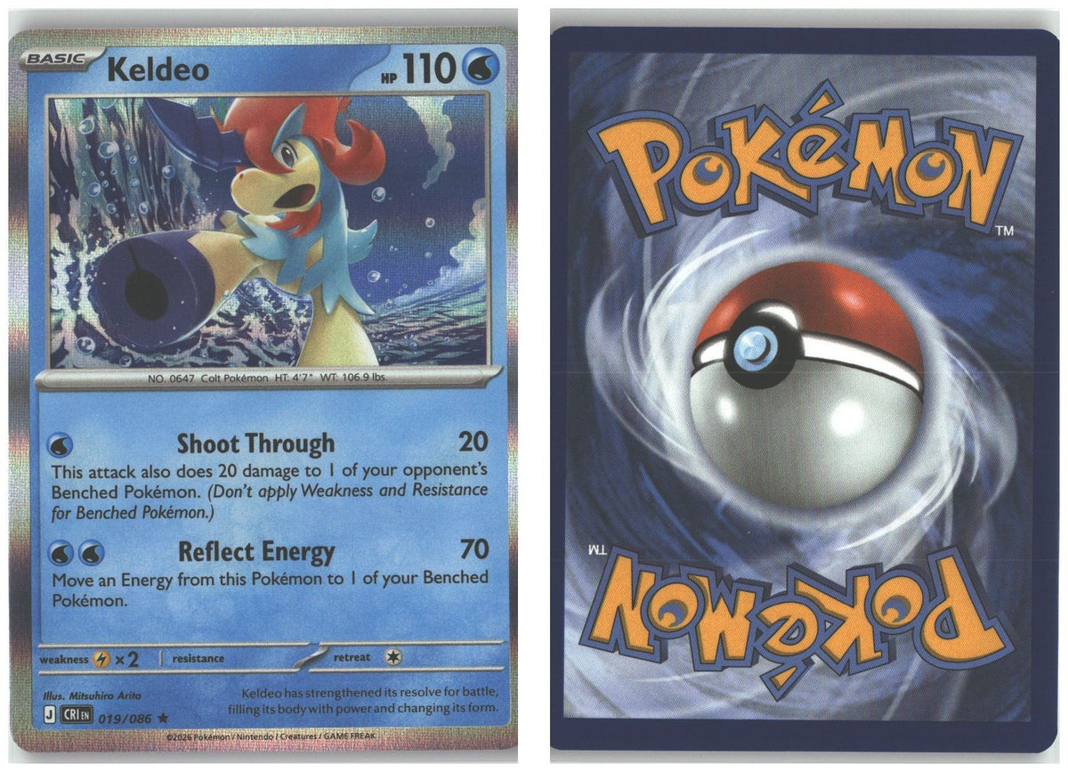 Front + Back scan