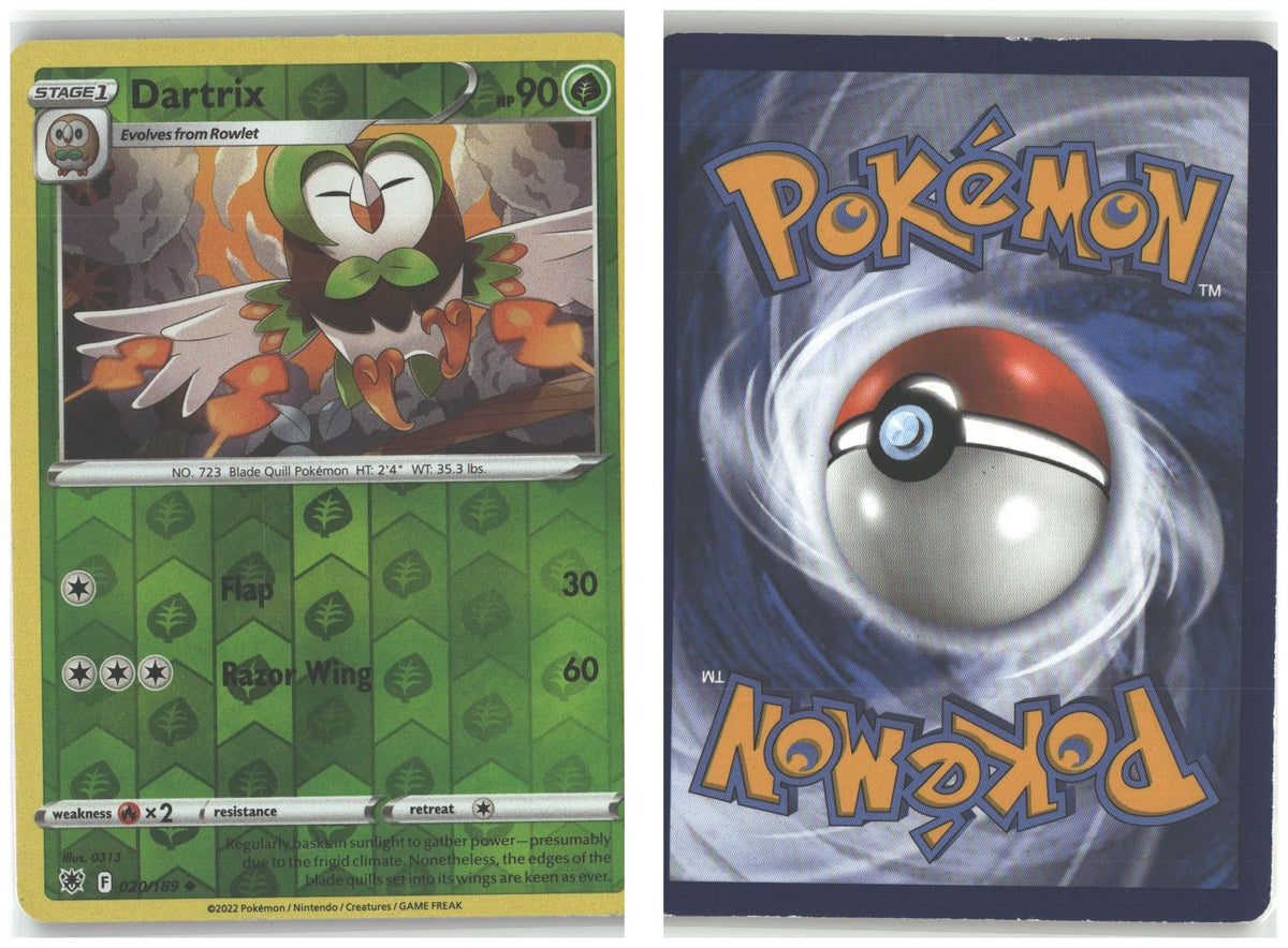 Front + Back scan