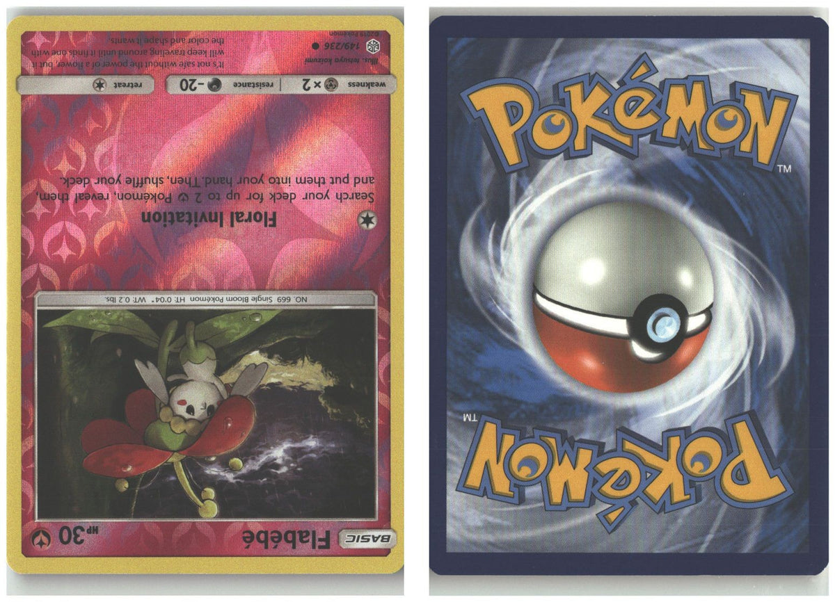 Front + Back scan