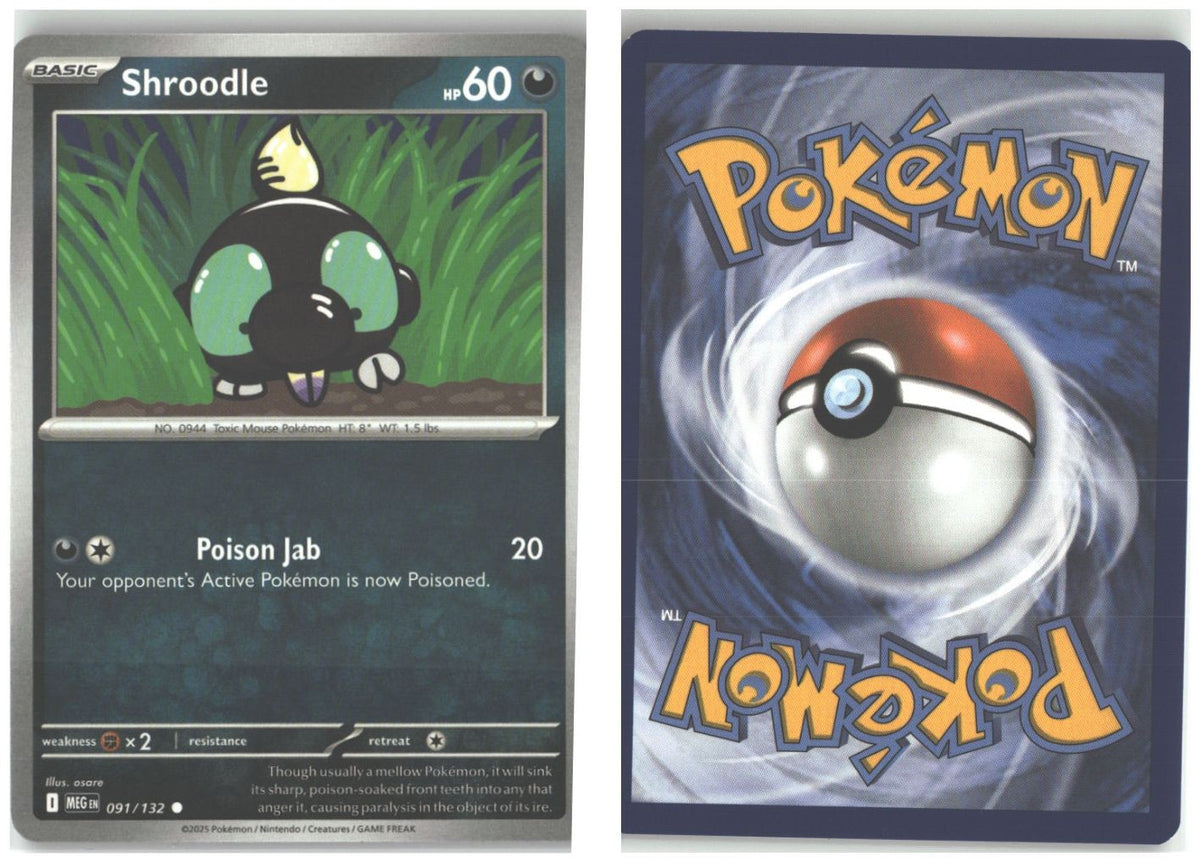 Front + Back scan