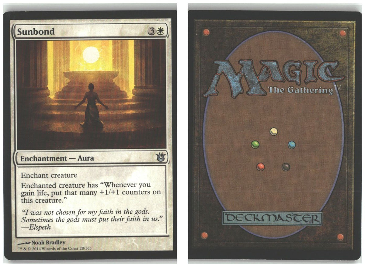 Front + Back scan