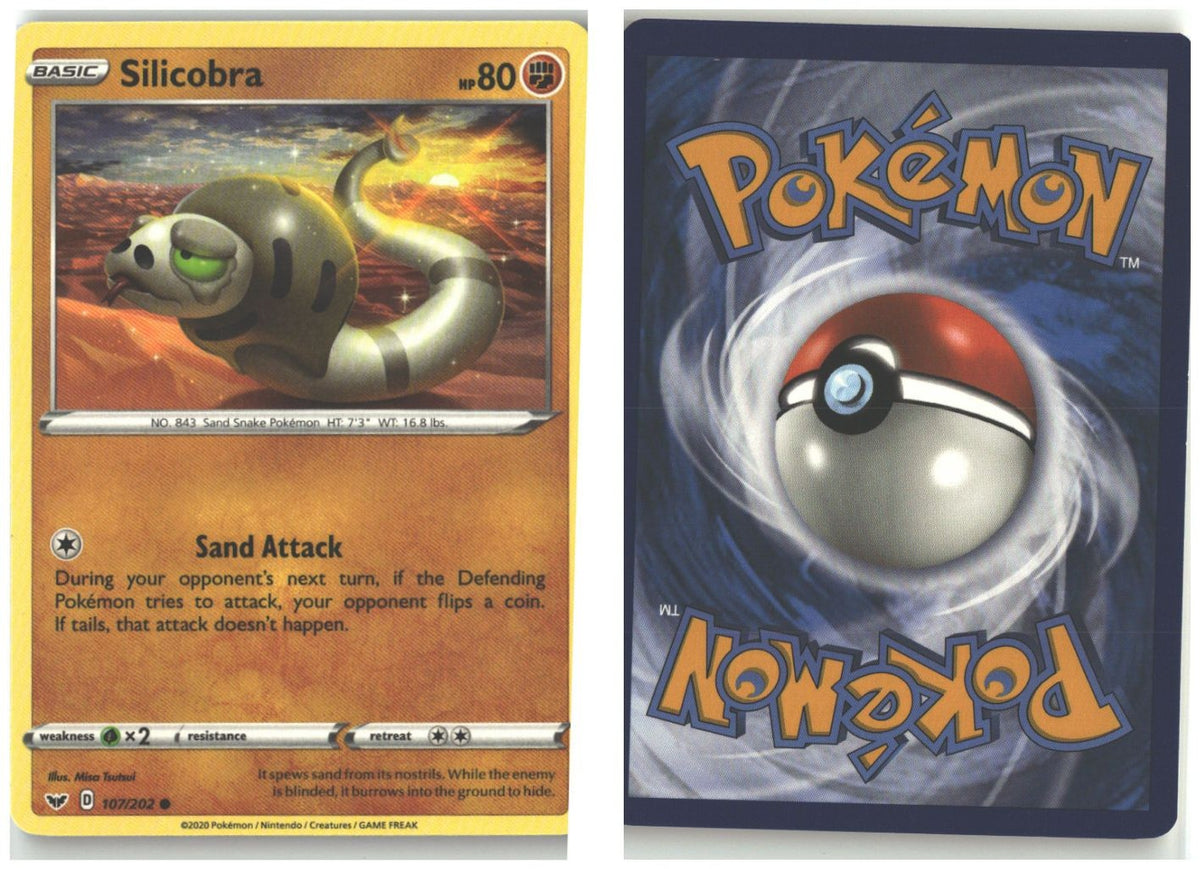 Front + Back scan