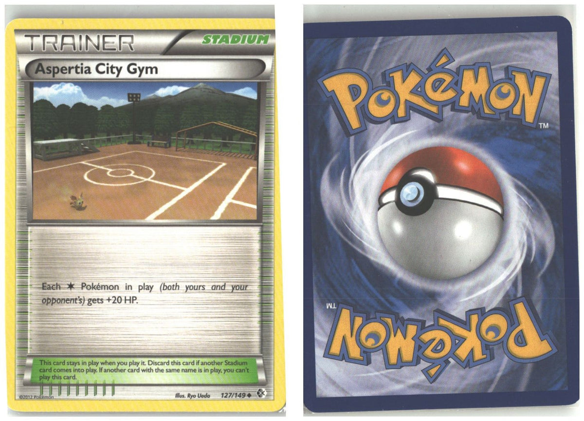 Front + Back scan