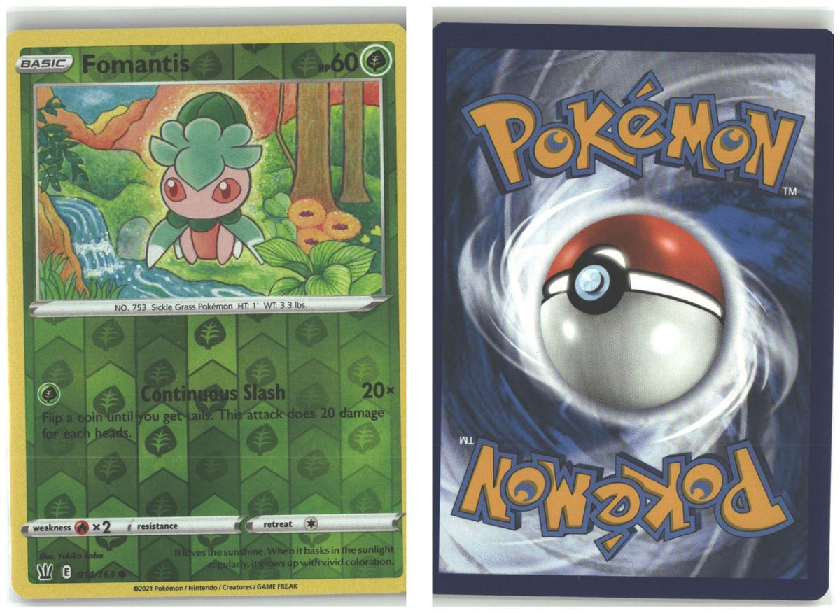 Front + Back scan