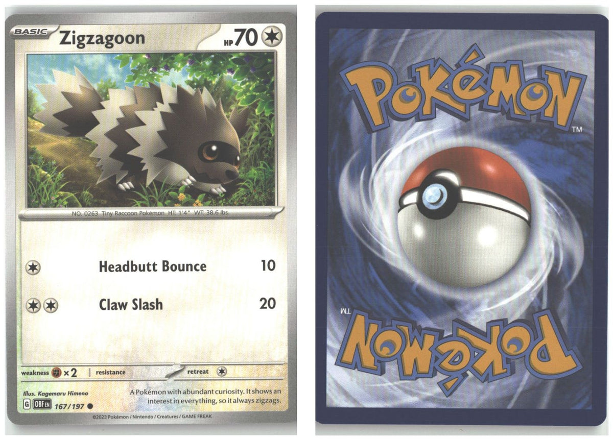 Front + Back scan