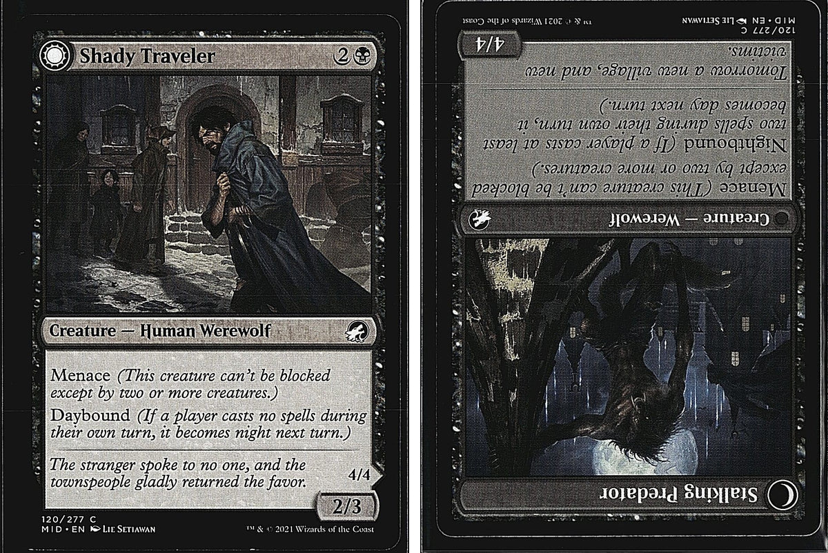 Front + Back scan